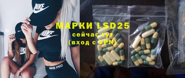 винт Ельня