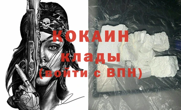 винт Ельня