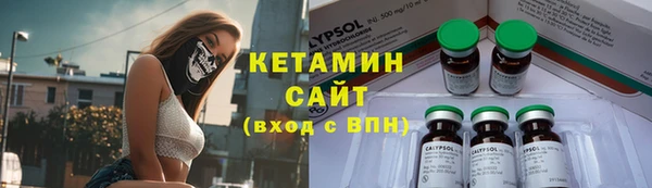 винт Ельня