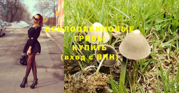 винт Ельня