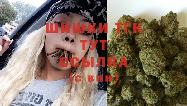 винт Ельня